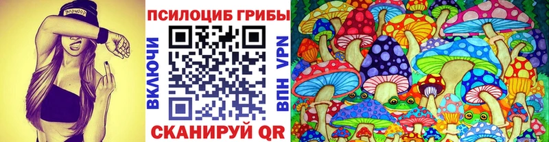 купить наркотик  Хасавюрт  hydra как войти  Галлюциногенные грибы мухоморы 